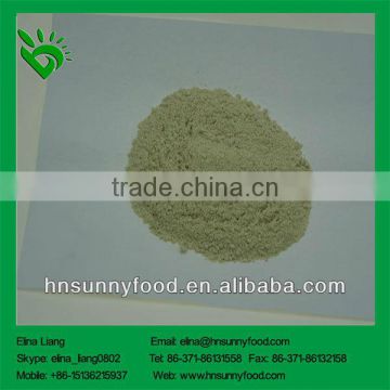 100% pure onion powder market