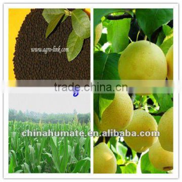 Chinese base fertilizer humate Boron factory