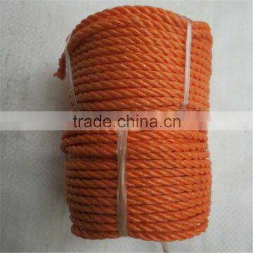 pe rope in high quality