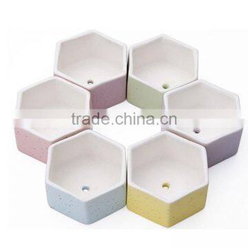 Hexagon Set of 6 Ceramic Small Plant Pots 3 Inches