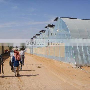 Greenhouses From South Korea photo-5