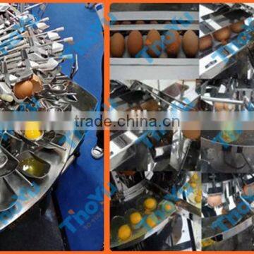 Big capacity Stainless steel Egg Processing Machines made in China