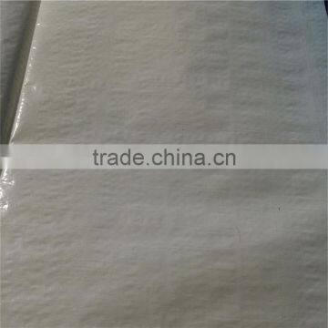 10x10 Mesh All Kinds of Tarpaulin photo-5