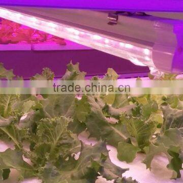 20W 4ft led grow light tube T8 for mini greenhouses