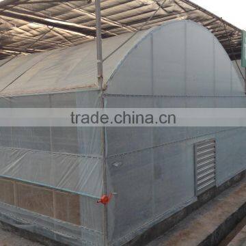 BaoLiDa Low Price Polyethylene Greenhouse Galvanized Steel Pipe Potato Greenhouse photo-4