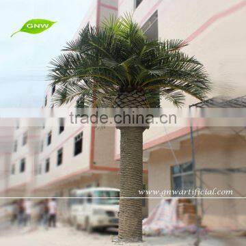 GNW APM010-2 12ft High Artificial Coconut Tree Silk Leaves For Park Landscaping Decoration photo-4