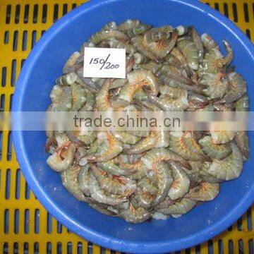 Frozen HLSO Karikkadi Shrimps