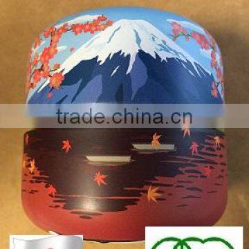 Japanese Green Tea Powder Matcha grown produced in Kyusyu Japan for cafe Private Labeling