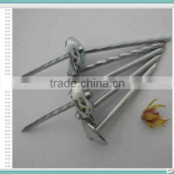 Hot Supply Galvanized Umbrella Head Roofing Nails