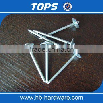 Гвозди для кровель с крышками в виде зонтиков с закрученной или гладкой шляпкой photo-5