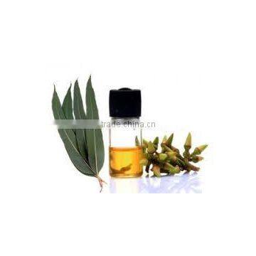Eucalyptus Oil photo-3