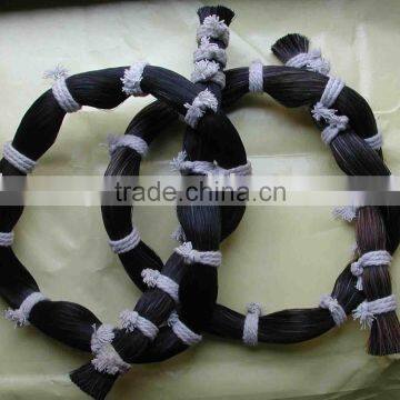 horse tail hairs