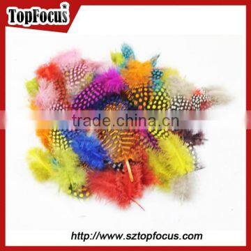 Cheap Dyed Guinea Fowl Wholesale Artificial Feathers for Carnival Costumes photo-5