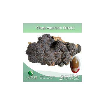 Chaga Mushroom Extract