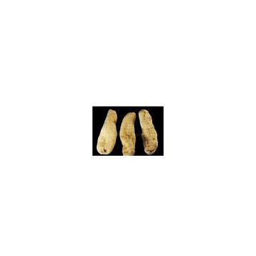 Gastrodin Gastrodia Tuber Extract