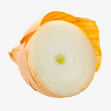 Fresh Yellow Onion in 25kg/Mesh Bag photo-3