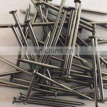 Hot dipped galvanized common nails with high quality