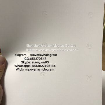 New Pennsylvania Perfs Sheet PA Teslin Paper photo-3