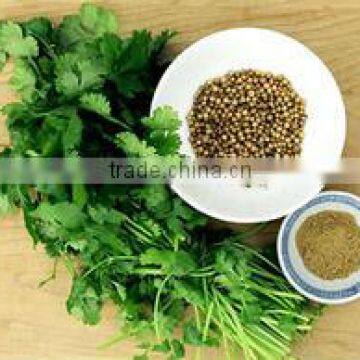 Coriander Seed