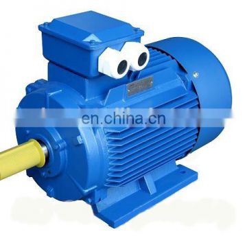 IEC standard Y2 series three phase asynchronous electric motor