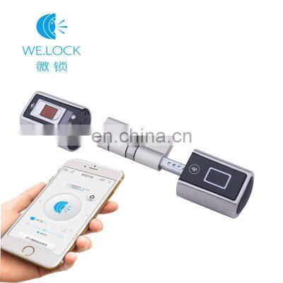 Fingerprint lock smart wifi biometric fingerprint door  electronic door lock