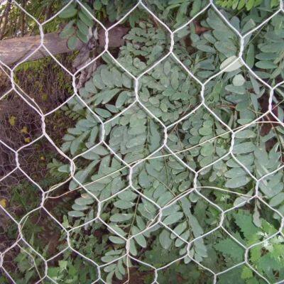 Customized Steel Gabion 2/3/4/5*1*1m Size With Galvanized Iron Wire