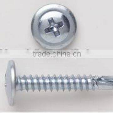 wafer head needle point screw BZP