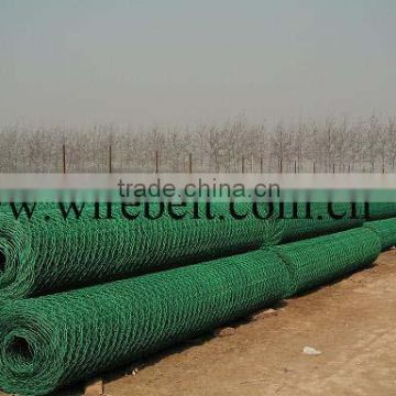 hexagonal wire mesh