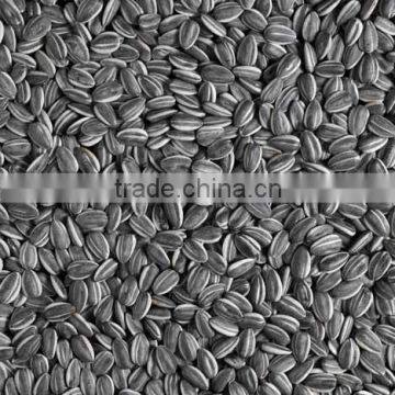 No. 1338 Tasted hybrid small edible sunflower seed