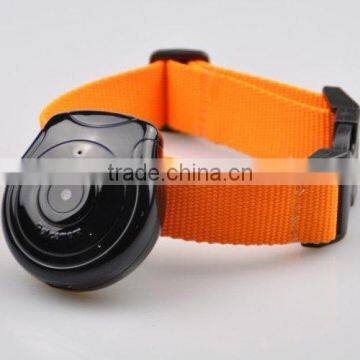 Factory Offer Mini Digital Pet Camera