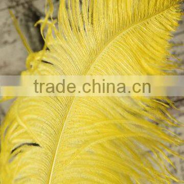 Wholesale Ostrich Feathers Gold Ostrich Feather for Wedding Decoration photo-2