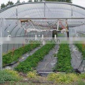 Greenhouse film