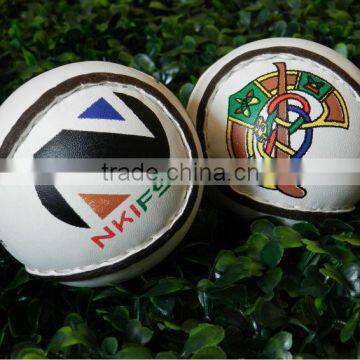 Camogie Hurling ball (sliotars)