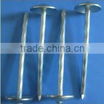 Galvanized umbrella head roofing nails with twisted shank