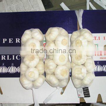 White Garlic Competive Price photo-6
