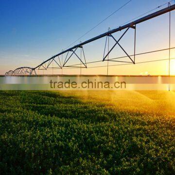 High Yield Grass Seeds for Sale photo-5
