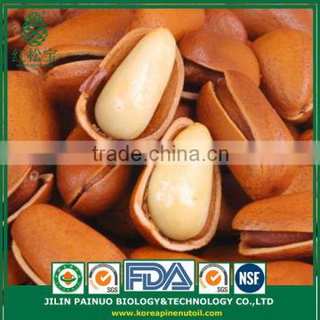 Constant Supply Clear Clean Agriculture Siberian Open Pine Nuts in Shell