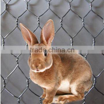 Galvanized rabbit wire fence