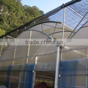 Plastic Film Multi Span Agriculture Greenhouse photo-4