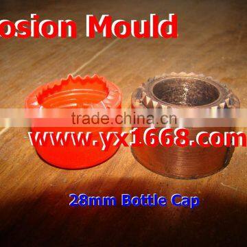 Plastic cap mould