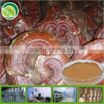 Hot sale ganoderma lucidum spore powder