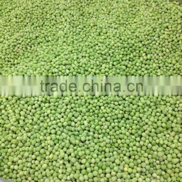 Wholesale frozen fresh IQF green peas