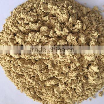 ginger powder premium factory price