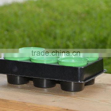 PP seeding Tray with 6 cell insert