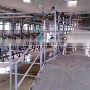 9JY fishbone sheep milking parlor