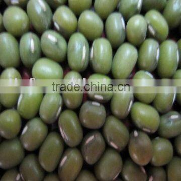 all size Green Mung beans 2010 crop