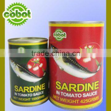 canned fish sardines