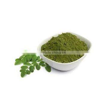 ISO Certified Moringa Leaf Powder Pure Moringa Herbal Powder Bulk Moringa Powder photo-4
