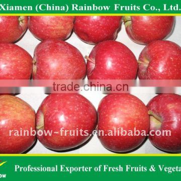 Fresh Chinese Huaniu Apple/Red Apple