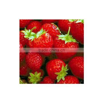 Fresh Strawberry